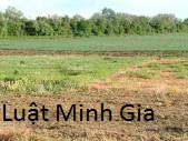 Hỏi về: Nghĩa vụ bảo đảm quyền sử dụng tài sản cho bên thuê