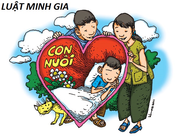 Luật sư tư vấn về điều kiện nuôi con nuôi của vợ chồng