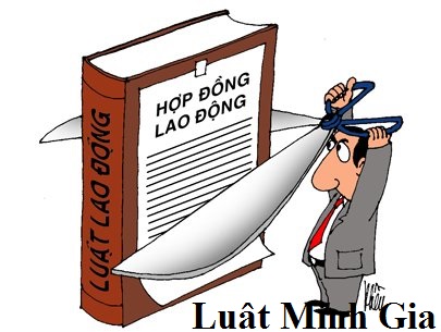 Công ty không chịu giải quyết đơn xin thôi việc và BHXH thì phải làm sao?