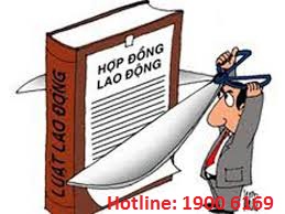 Tư vấn trường hợp HĐLĐ hết thời hạn