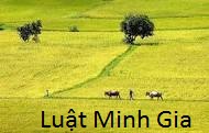 Cấp giấy chứng nhận quyền sử dụng đất đối với đất sử dụng trước năm 1993