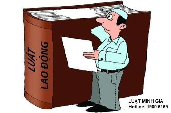Văn bản quy phạm pháp luật áp dụng cho chế độ làm thêm ngoài giờ