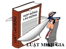 Nếu đã có việc làm mới có được hưởng trợ cấp thất nghiệp?