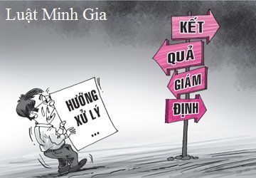 Giám định mức suy giảm khả năng lao động quy định thế nào?