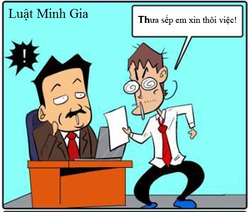 Tư vấn về chế độ được hưởng khi nghỉ việc