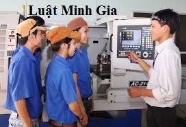 Đơn phương chấm dứt hợp đồng lao động do công ty giải thể