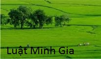 Thủ tục tặng cho quyền sử dụng đất và đề nghị cấp giấy chứng nhận quyền sử dụng đất