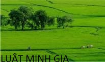 Hỏi về : Hợp đồng ủy quyền sang tên quyền sử dụng đất vô hiệu