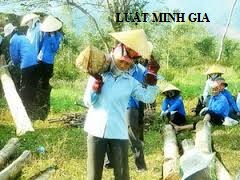 Điểm mới của luật BHXH 2014 về nghỉ hưu khi suy giảm sức lao động