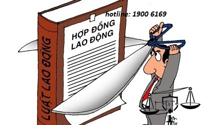 NLĐ được hưởng quyền lợi gì khi NSDLĐ đơn phương chấm dứt HĐLĐ