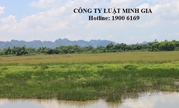 Chuyển đất trồng cây lâu năm sang đất trồng cây, làm vườn có phải xin phép không?