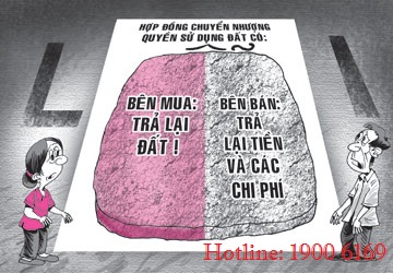 Tư vấn về hợp đồng chuyển quyền sử dụng đất