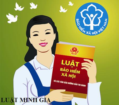 Tư vấn về thủ tục cấp lại sổ BHXH