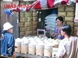 Tư vấn về trường hợp đăng ký hộ kinh doanh cá thể