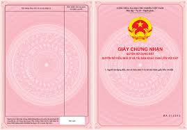 Tư vấn điều kiện để được công nhận quyền sử dụng đất