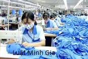 Trách nhiệm của NLĐ khi chấm dứt hợp đồng trái pháp luật
