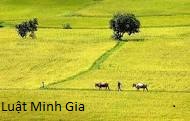 Hỏi về thẩm quyền thu hồi đất