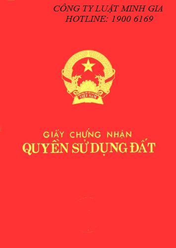 Tư vấn về quyền sử dụng đất của người trực tiếp nộp thuế đất