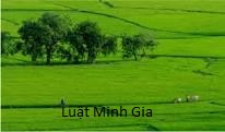 Tư vấn về thủ tục chuyển mục đích sử dụng đất