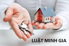 Tư vấn sang tên giấy chứng nhận quyền sử dụng đất