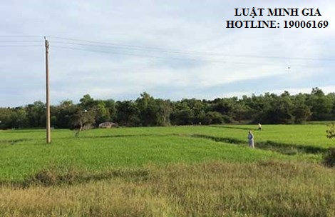 Tư vấn về thủ tục tách thửa đất đối với đất nông nghiệp.