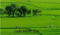Trường hợp nào thì người Việt Nam định cư ở nước ngoài được sở hữu nhà ở Việt Nam