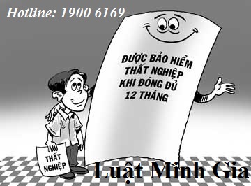 Tư vấn về trình tự, thủ tục để hưởng bảo hiểm thất nghiệp