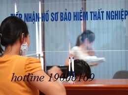 Chấm dứt hưởng trợ cấp thất nghiệp trong các trường hợp nào?