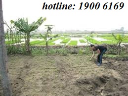 Tư vấn về tranh chấp đất đai các thành viên trong gia đình