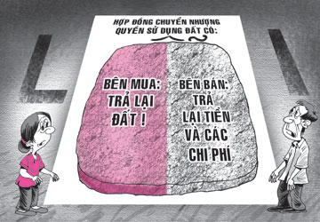 Hợp đồng chuyển nhượng QSD đất không ghi ngày bàn giao đất