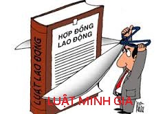 Có thể chấm dứt hợp đồng lao động không?