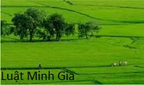Luật sư tư vấn về quyền tách thửa đất đối với đất là tài sản chung của vợ chồng
