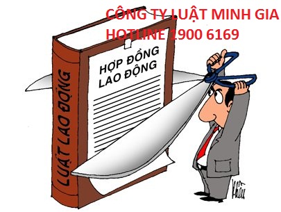 Tư vấn nghỉ trước thời hạn 45 ngày khi đơn phương chấm dứt hợp đồng