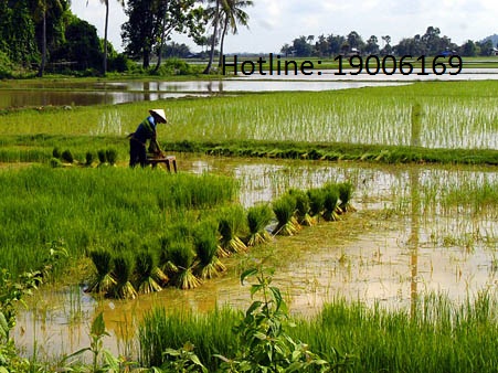 Xin tư vấn về đền bù đất tăng sản