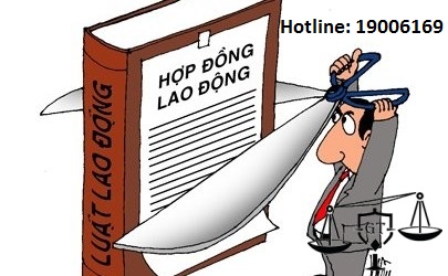 Hỏi trường hợp công ty không ký hợp đồng lao động với NLĐ?