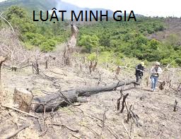 Hành vi xâm phạm quyền sở hữu tài sản của người khác