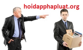 Trong thời gian chờ quyết định sa thải có được hưởng lương?