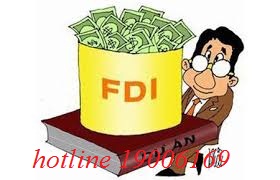 Doanh nghiệp nước ngoài đầu tư vào Việt Nam được cấp giấy phép gì?