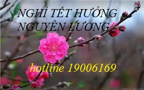 Tư vấn về chế độ nghỉ có hưởng lương của người lao động