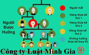 Tư vấn về đăng ký cấp Giấy chứng nhận quyền sử dụng đất