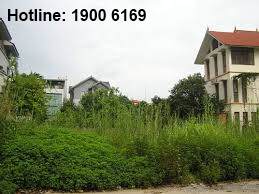 Tư vấn về tặng cho quyền sử dụng đất giữa bà nội và cháu
