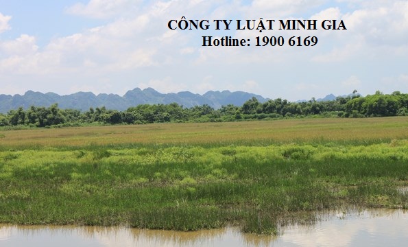 Hỏi về thủ tục chuyển mục đích sử dụng đất từ đất lâu năm sang đất ở