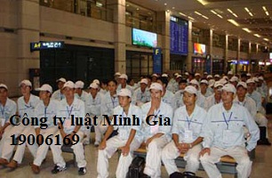 Quyền lợi của người lao động quy định theo pháp luật thế nào?