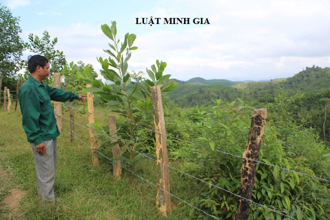 Tư vấn về trường hợp lấn chiếm đất xây hàng rào