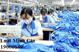 Tư vấn về vi phạm chế độ làm việc