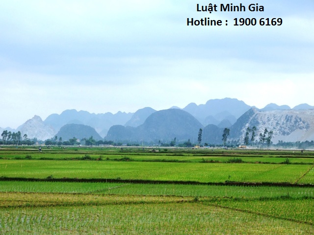 Tư vấn về có trả lại phần đất nông nghiệp vượt hạn mức được không?