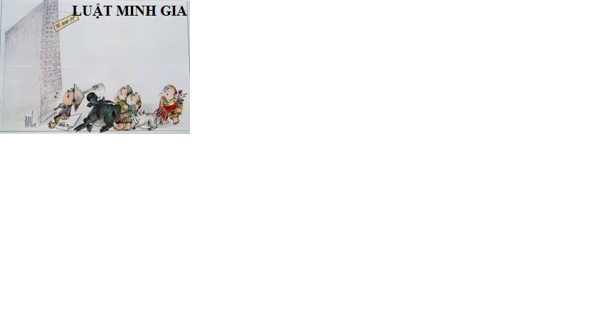 Tư vấn về cấp giấy chứng nhận quyền sử dụng đất và thủ tục
