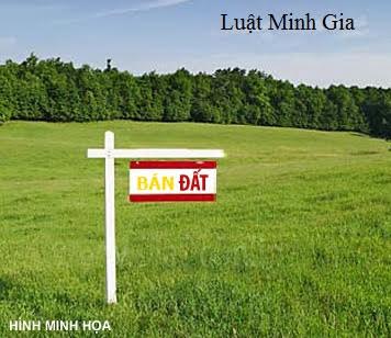 Tư vấn về tranh chấp đất đai