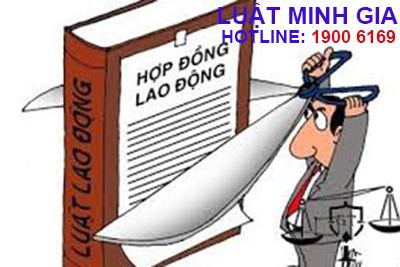 Quy định về việc chấm dứt hợp đồng lao động