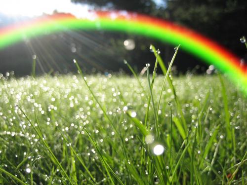 Điều kiện được hỗ trợ tái định cư khi Nhà nước thu hồi đất
